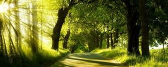 3d Nature Wallpaper HD