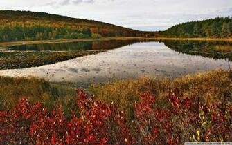 Breakneck Pond Acadia National Park Maine 4k HD Desktop