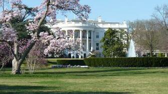 White House 4k Ultra HD Wallpaper And Background