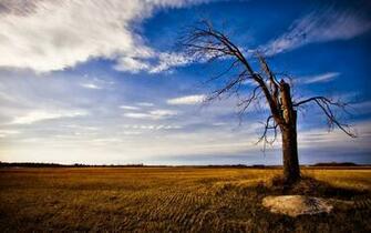 Wallpaper Nature Girls Selective Wide Screen Full HD
