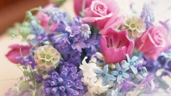 Spring Flowers Bouquet Wallpaper