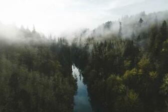 Pacific Northwest Desktop Wallpaper Top