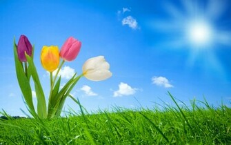 Spring Nature Wallpaper HD