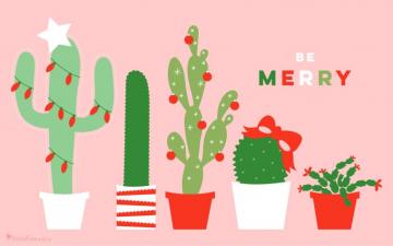 December Christmas Cactus Calendar Wallpaper Sarah Hearts