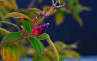 Desktop HD Wallpaper Super Colorful Hq Amazing