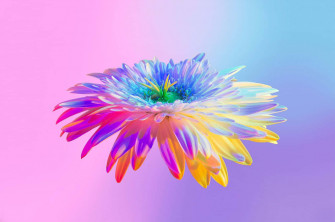 Colorful Aesthetic Wallpaper