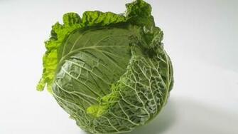 Wallpaper Cabbage White Background Rocker