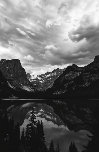 Black And White Nature Wallpaper