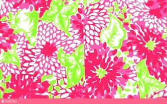An Unofficial Collection Of Lilly Pulitzer Prints