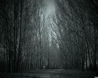 Haunted Forest Wallpaper HD Desktopinhq