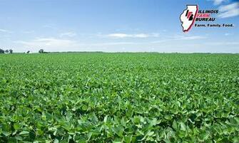 Moore Encourages Farmers To Keep Looking For Ways Boost Yield