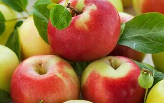 Ripe Apples Wallpaper And Image Pictures Photos
