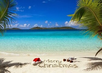 Tropical Christmas HD Wallpaper By Which Provides