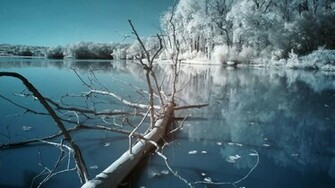 Nice Natural Winter Wallpaper