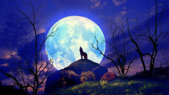 Best Beautiful Art Wallpaper