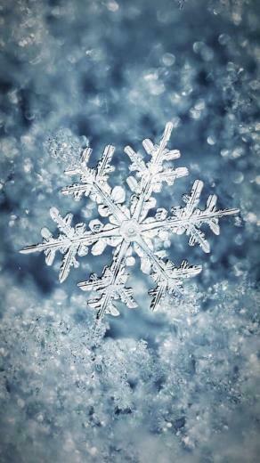Wallpaper Winter Beautiful Snowflakes