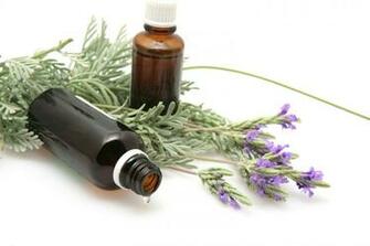 Nutrition Smart Now Has Young Living Essential Oils These Are