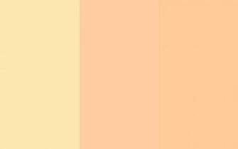 Peach Crayola And Orange Three Color Background
