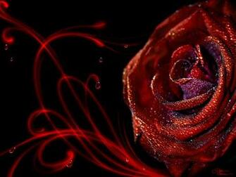 3d Live Rose Wallpaper HD Base
