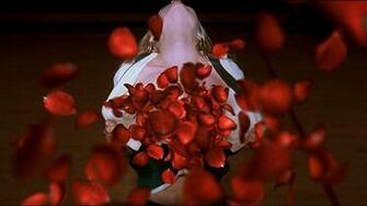 American Beauty Wallpaper Full HD Ekm71v2 4usky