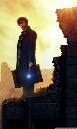 Fantastic Beasts And Where To Find Them 4k HD Desktop Wallpaper