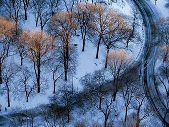 Central Park New York City