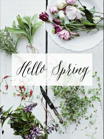 Showing Gallery For Hello Spring Wallpaper