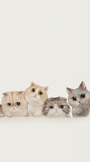 Best Ideas About iPhone Wallpaper Cat