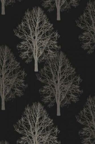 Continue Shopping At B Q Colours Collection By Forest Paste