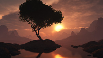 Hi Def Nature Picture Wallpaper