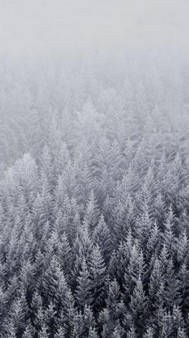Winter Wallpaper And Background To Decorate Your Screen With
