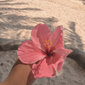 Hanifa Owayan On Tropics Wallpaper