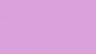 Plum Web Solid Color Background