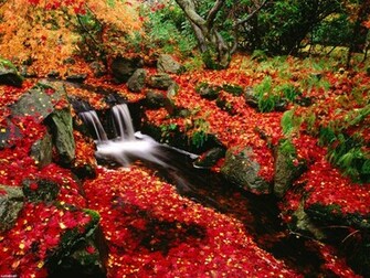 Fall Desktop Wallpaper S In HD