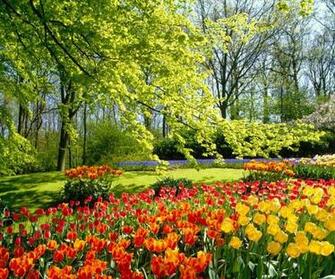 Desktop Screensavers And Animated Wallpaper For Windows Xp Find