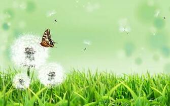 Wallpaper Green Butterfly World