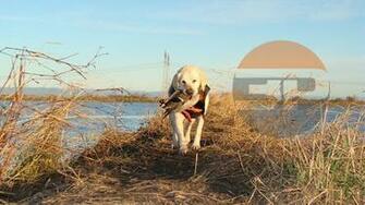 Butte Sink Duck Hunting Jpg