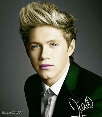 Niall One Direction Picture