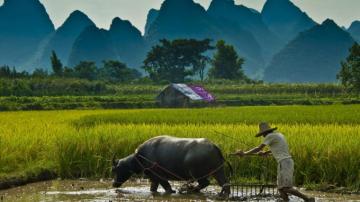Best Farmers Wallpaper Retina Macbook