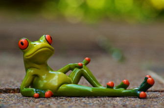 Wallpaper Id Frog Lying Relaxed Cute Rest Figure Funny