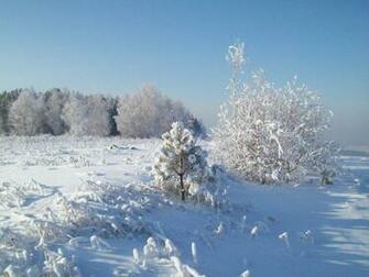 Snow Desktop Wallpaper Full HD