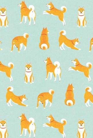 Shiba Inu Pattern Dog Illustration Art Wallpaper