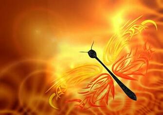 Beautiful Butterfly Wallpaperblaberize Blaberize