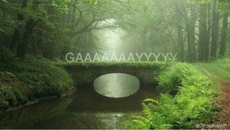 Offensive Wallpaper
