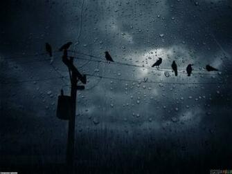 Rainy Day Wallpaper Open Walls