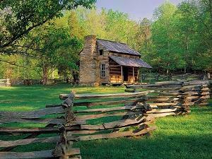 John Oliver Cabin Wallpaper
