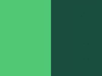 Resolution Emerald And English Green Solid Two Color