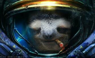 To Share One Of My Favourite Sloth Wallpaper The People