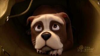 A Salute To Service Sgt Stubby An American Hero Veterans Day
