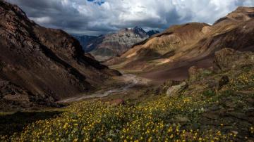 Efflorescence At Spiti Valley Lahaul And Himachal Pradesh